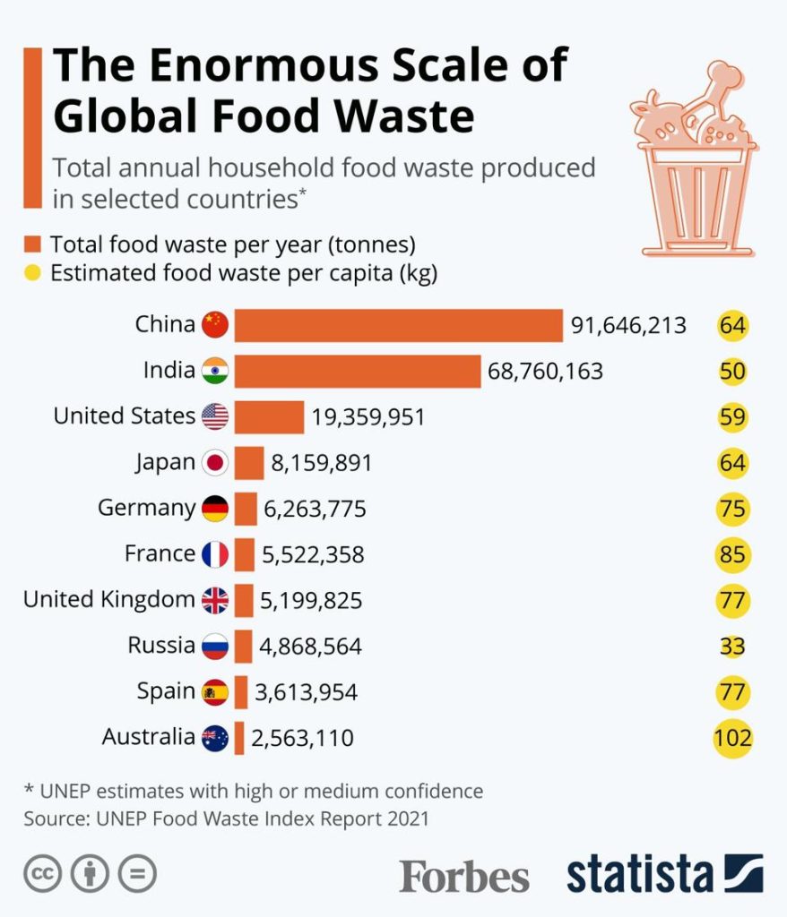 How to Turn Trash into Treasure: Food Waste NoWaste